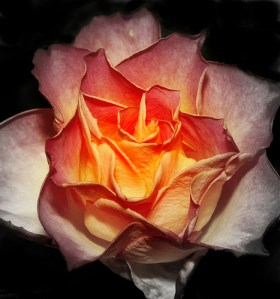 3032127404_48825453c0