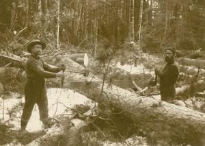 Two Lumbermen with Saw, from the Wisconsin Historical Imgages Collection